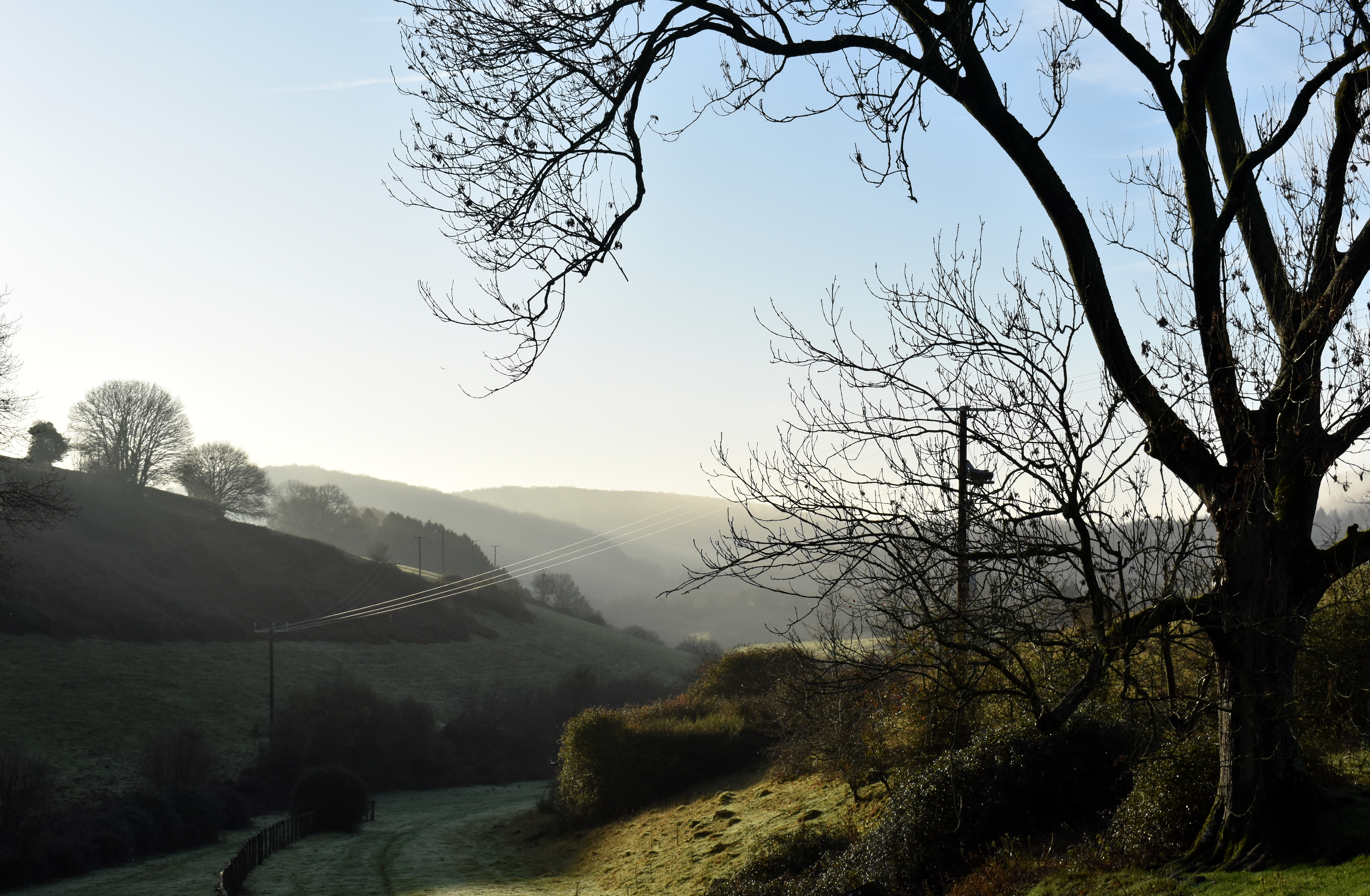 Photo of a path in a misty valley